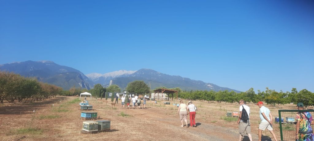 1 5 Asociatia Crescatorilor de albine din Romania Filiala Timis